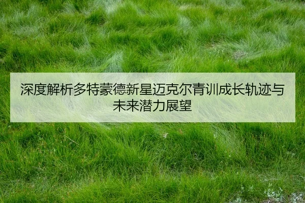 深度解析多特蒙德新星迈克尔青训成长轨迹与未来潜力展望